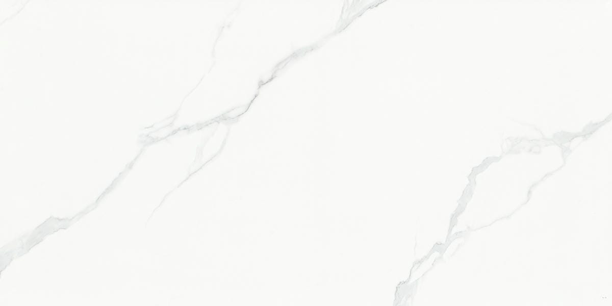 Click để xem C48J572P